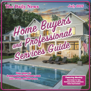 View the home buyers and professional services guide